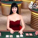 casino sexy d