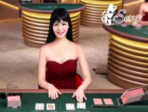 casino sexy d